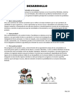 Problemas económicos fundamentales y su solución