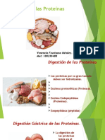 Digestión de las Proteínas.odp