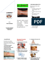 Leaflet Dermatitis Poltekkes