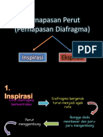 Pernapasan