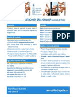 Programa Operacion y Mantencion de Grua Horquilla PDF 299 KB