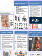 Leaflet Hernia Nukleus Pulposus