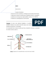 Síndrome Hemipléjico: Causas, Diagnóstico y Tratamiento