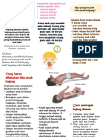 Leaflet He Kejang Demam