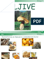 11 Gljive