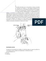 Inspección de Muñeca