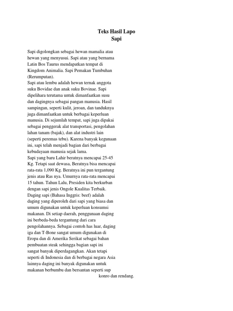 Teks Laporan Hasil Observasi Tentang Sapi Seputar Laporan