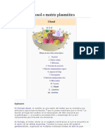 Citosol o Matriz Plasmática