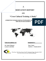 dissertation-on-cross-cultural-training.doc