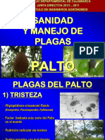 Mip Palto PDF