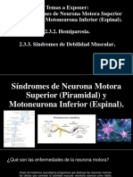 Síndromes de Neurona Motora Superior (Piramidal) y Motoneurona Inferior (Espinal) - Hemiparesia. Síndromes de Debilidad Muscular
