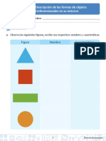 Descripcion de Las Formas de Objetos Tridimensionales en Su Entorno