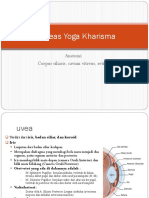 Anatomi Mata Yoga