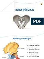 Cintura Pèlvica Final - Cópia