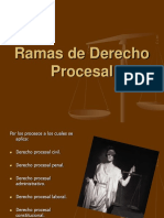 Ramas de Derecho Procesal.ppt