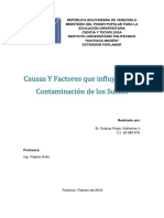 Causas y Factores de La Contaminación de Los Suelos