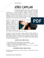 Documento Apoyo Diseño Capilar .