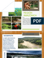 Region Amazonica