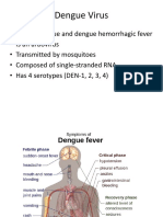 Pathophysiology of Dengue Encephalitis 