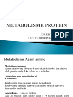 1.4.5.3 - Metabolisme Protein.pptx