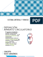 Sistema Arterial y Venoso