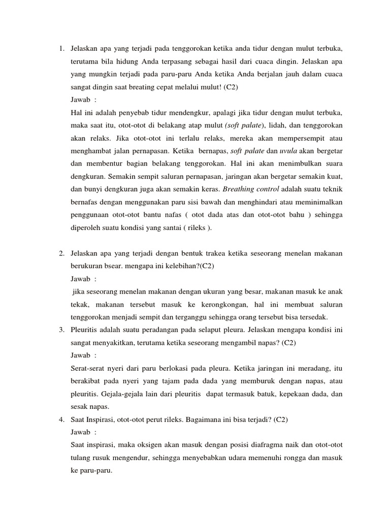 Soal Essay Tentang Sistem Pernapasan