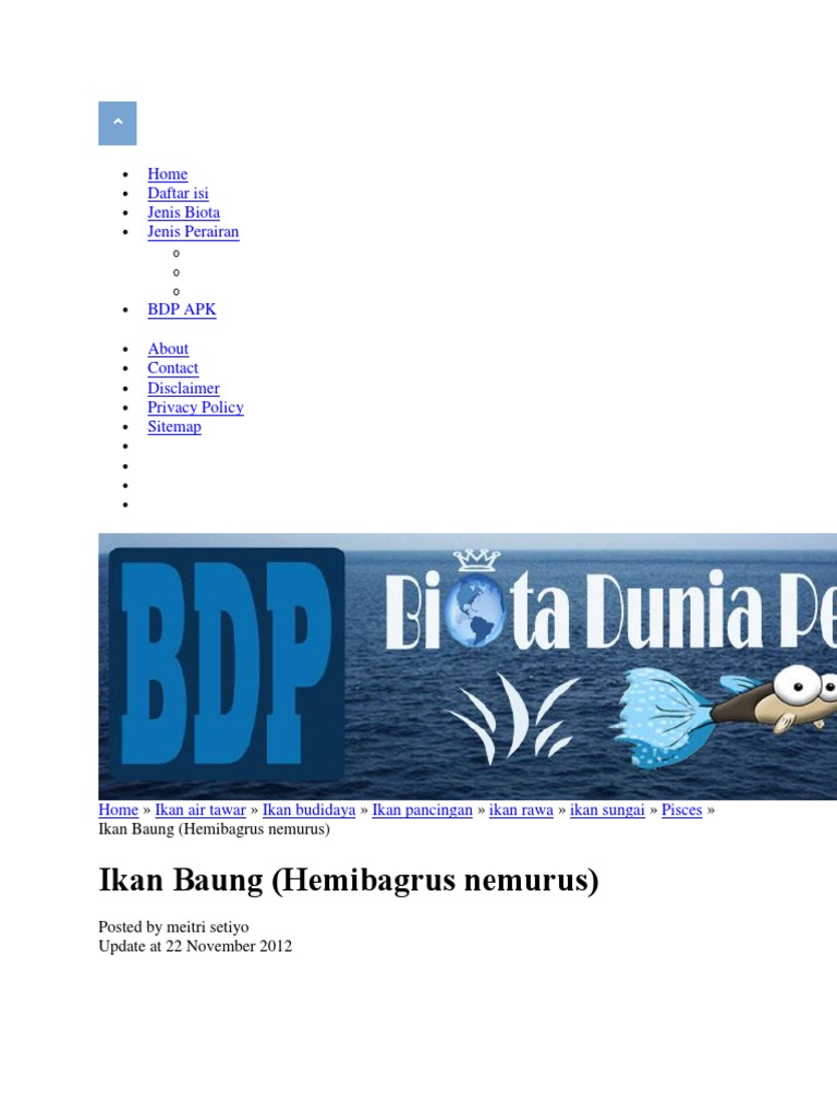 Ikan Baung | PDF