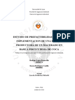 Lopez Beuzeville Rodrigo PDF