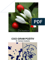 coci-gram-pozitiv-curs.pdf