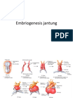 Embriogenesis jantung.pptx