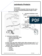 Biosintesis Protein.doc