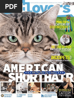 Majalah Catlovers Edisi2  PDF