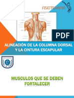 Alineación de La Columna Dorsal y La Cintura Final