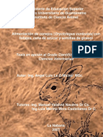 Alimentación de Conejos (Oryctolagus Cuniculus) Con Follajes, Caña de Azúcar y Semillas de Girasol