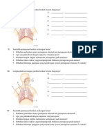 Soal UH Sistem Pernafasan