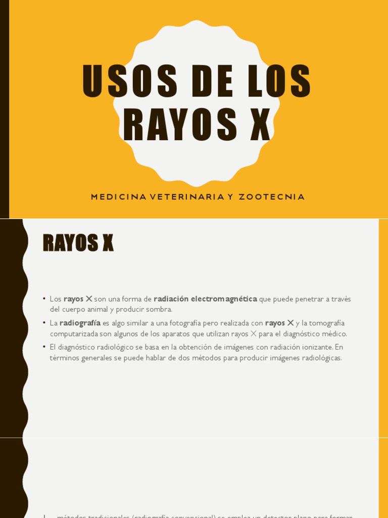 Usos de los rayos x | Rayos x | Física aplicada e interdisciplinaria