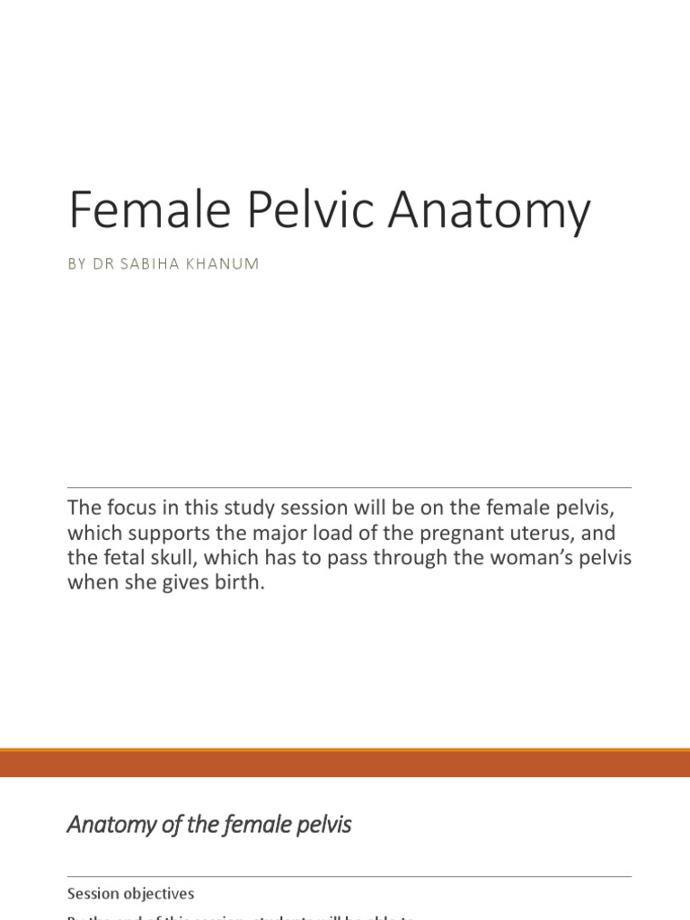 Female Pelvic Anatomy | PDF | Pelvis | Vertebral Column