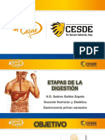 Clase 3. Etapas de La Digestion 2017