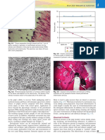 Extracted Pages From Endodontics Principles and Practice 5th