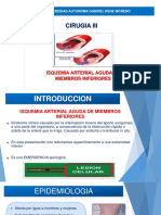 Isquemia Arterial Aguda Exposicion