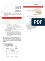 Orientation of Central Nervous System: Neuroanatomy & Neurophysiology 1