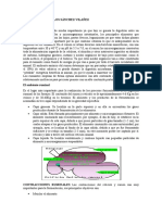 La importancia del ambiente ruminal en la digestión de los rumiantes