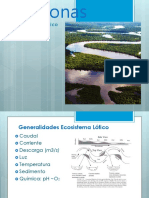 Amazon River Ecosystem Flow Characteristics