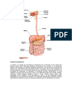 digestivo real.pdf