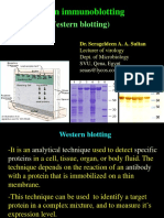 Protein Immunoblotting: (Western Blotting)