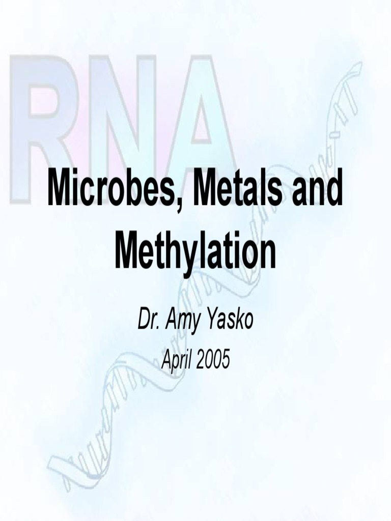 DR Amy Yasko Microbes Metals Methylation PDF Regulation Of Gene