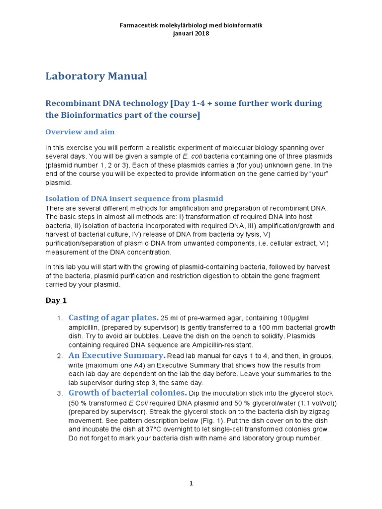 Molecular Biology Lab Manual: DNA Techniques | PDF | Polymerase Chain ...