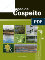 A Lagoa de Cospeito