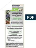 Sistema  de Perfeccionamientob Profesional para Resposables de la Admistracion de la Produccion(SPJ).docx