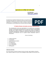 AcupunturaOrgonoma.pdf